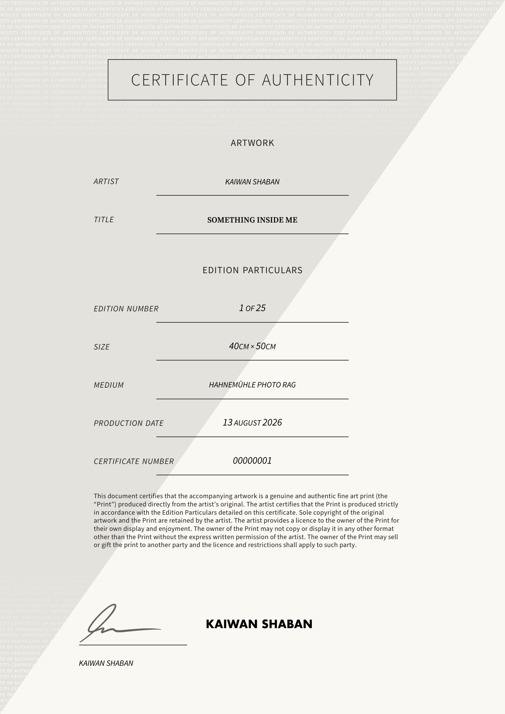 Something Inside Me — Certificate of Authenticity